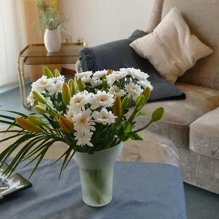 Ferienwohnung/bungalow Zuhause Auf Zeit * Lengerich